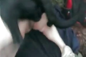 beastality with horses videos
