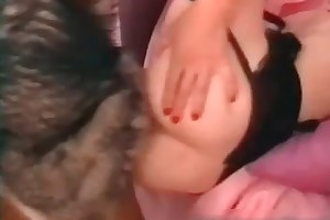 beastality free horse pic videos