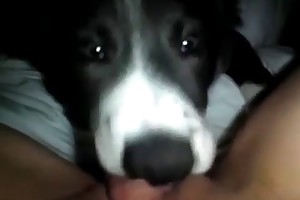 wife and beast frend fucking her husbend videos