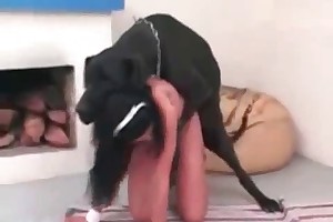 bestiality with dogs women porn movies