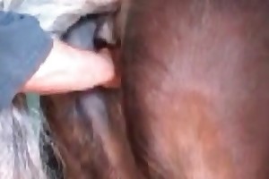 girls animal sex toons movies