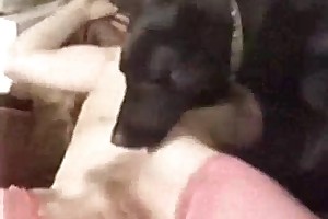 xxx beastiality rape videos porn movies