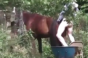 teen titans the beast within videos