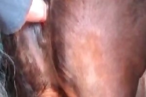 grandma animal sex male videos