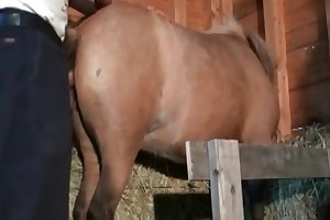 animal sex moives porn videos