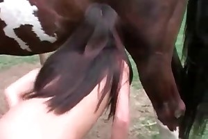 beastiality teen free porn