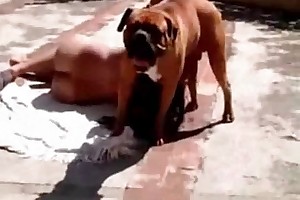 rape porn free beastailty