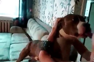beastlovers zoo movies