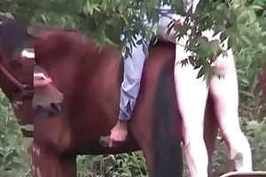 beastiality xxx videos porn movies