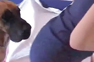 animalpornhost videos