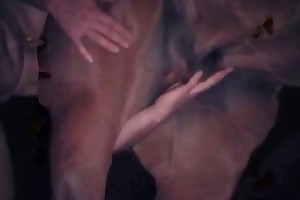 Humans Having Sex with Animals