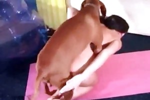 free animalsex cumshots porn movies