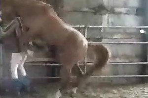 womenandanimalshaveingsex porn movies