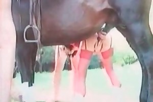 male bestiality sex movies