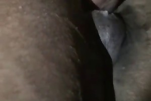 girl gets pumped by horse free porn