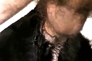 free pictures of women haviing sex with animals