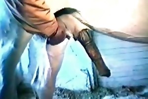 free xxx beastiality picpost porn videos