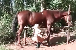 sex zoo tube movies