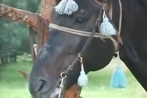 teens have sex with animals