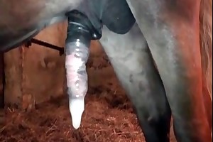 prepubescent girl beast sex movies