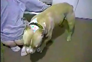 Amateur bestiality for a handsome animal and a zoophile