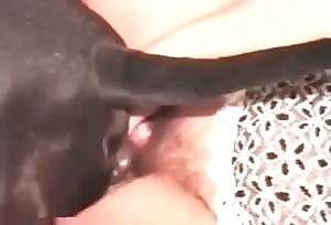 Sweet sex action with a great-looking hottie