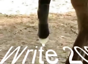 Sexy animals are being banged in this video
