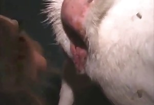 Stimulating a tight ass of a hot farm animal