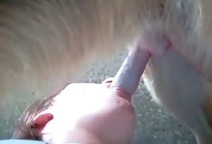 Sloppy dick-sucking in the bestiality scene XXX
