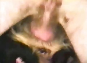 Bestiality action filmed in close up for zoophiliacs