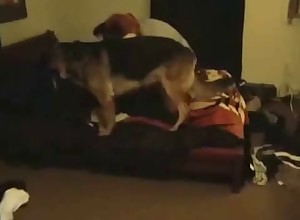 Sweet bestial XXX sex action shot on hidden camera