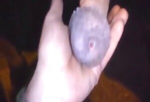 Horse penis to get jerked off in a POV scene