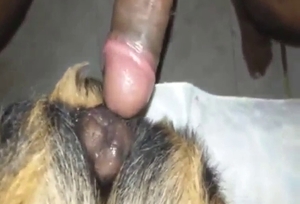 Guy is going to fuck that dog pussy with lust