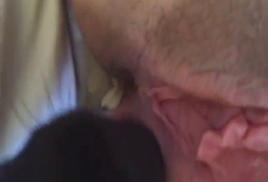 Bestiality porn shows a hot pussy licked by a dog