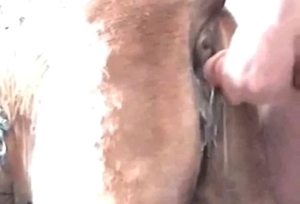 Zoophile with a hot fuck and a colossal load