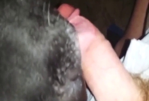 Zoo porn shows a black dog licking all over dick