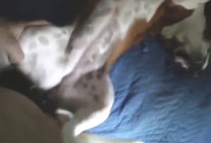 Guy putting his cock inside, deeper and deeper