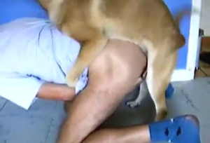 Dog has guy on all fours, he's ready to get gaped