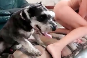 animalsexfilm videos